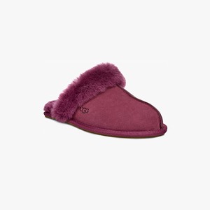 Ugg Scuffette II Women Slippers Purple (5192VPZFY)